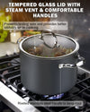 Cooks Standard 8 Quart Hard Anodized Premium Grade Nonstick Stockpot with Cover, Black